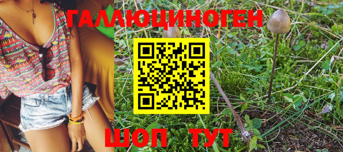 Галлюциногенные грибы MAGIC MUSHROOMS Заволжье